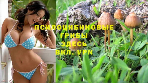прущая мука Алексин